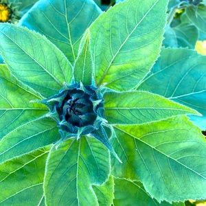 Meet your Posher, Stasia